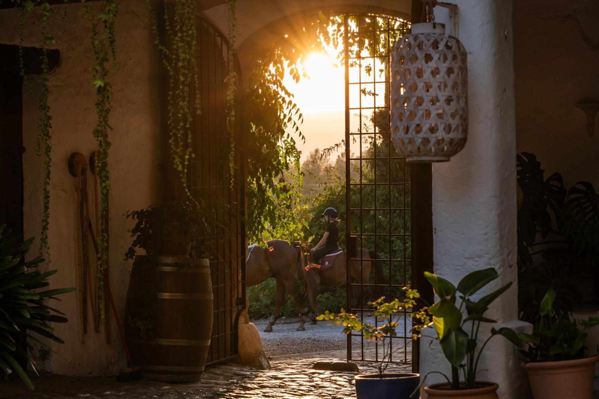 Agroturismo Son Boronat Calvià Exteriér fotografie