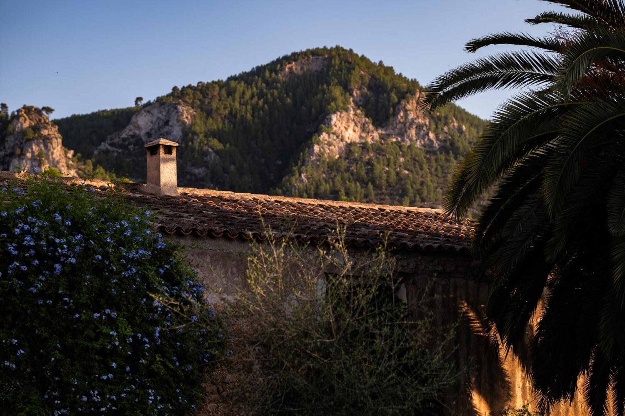 Agroturismo Son Boronat Calvià Exteriér fotografie